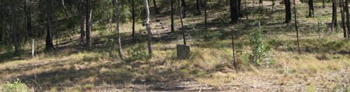 Panoramic of Lone Grave of McFarland at Wisemans Ferry