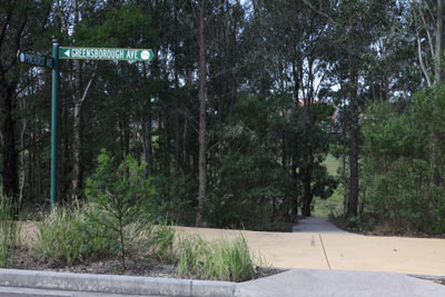 Bower of the Satin Bower Bird next to the Lone Grave at Wisemans Ferry