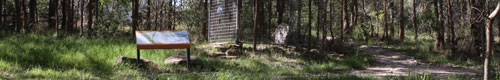 Panoramic of Lone Grave at Rouse Hill