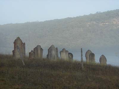 Headstones at Bailey's Farm Cemetery (private property). Photo courtesy of Drew Mitchell.