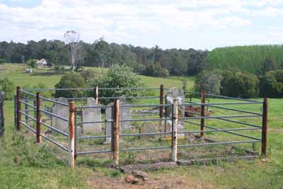 Headstones at Bailey's Farm Cemetery (private property). Photo courtesy of Drew Mitchell.