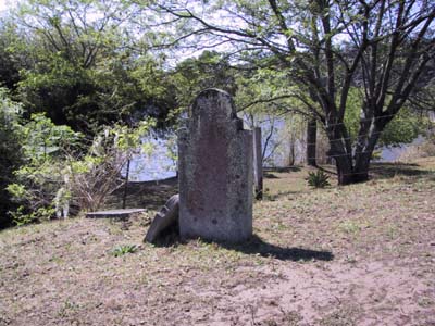Headstones at Brown's Cemetery (private property).