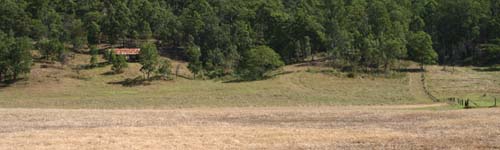 Panoramic of Bailey's Farm Cemetery (private property)