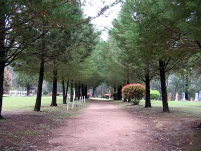 View of the cemetery from the cemetery drivewa